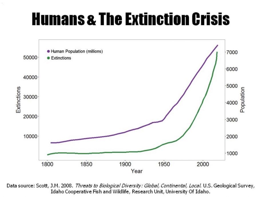 The Value of Hunting Stories for Conservation - HIRSCH&CO